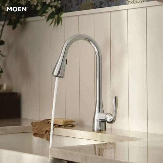 Georgene One-Handle High Arc Pulldown Kitchen Faucet